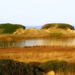 Blue Sea
