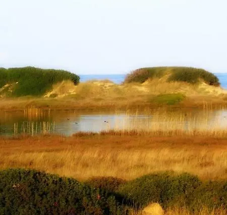 Blue Sea