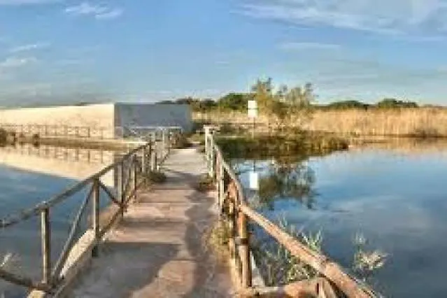 Blue Sea Torre Canne