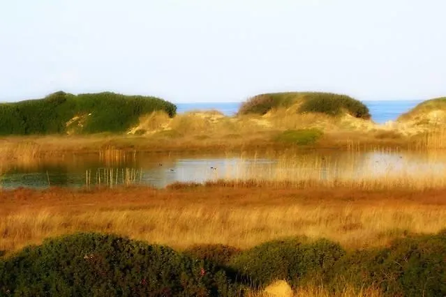 Blue Sea